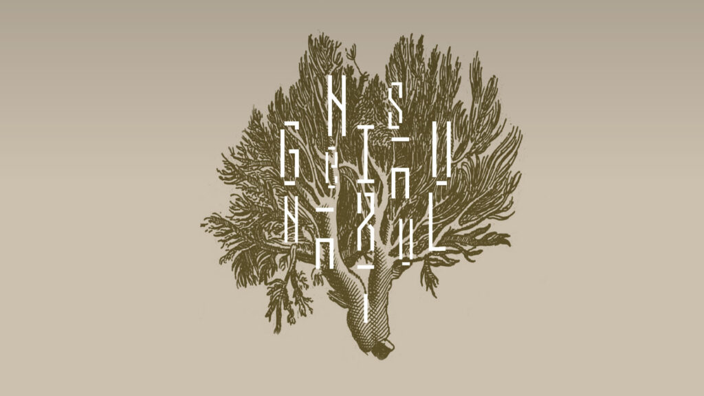 natural genius